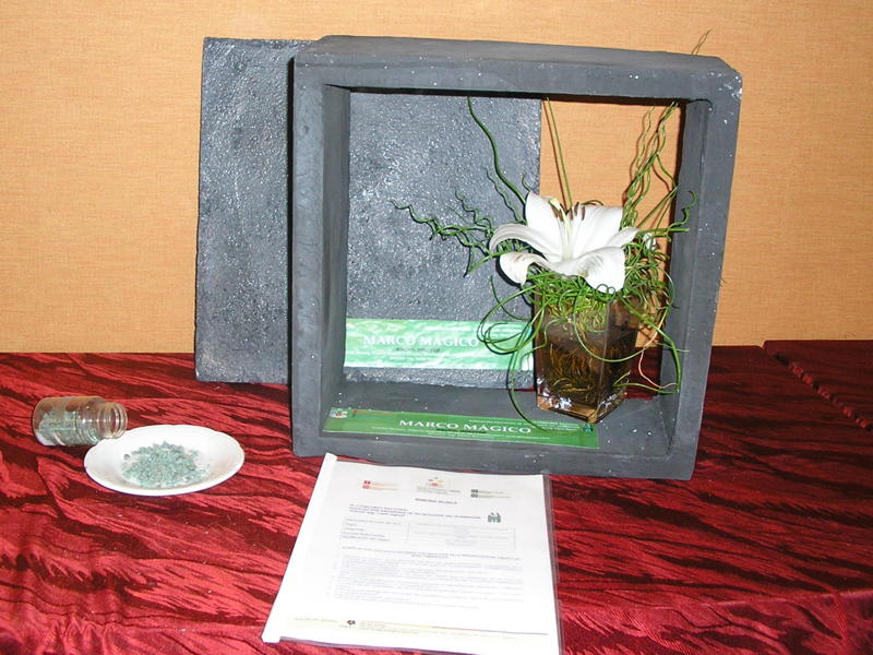 3º Concurso Nacional